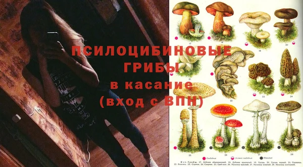 синтетический гашиш Саяногорск