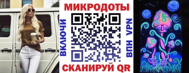 Галлюциногенные грибы Cubensis  блэк спрут как зайти  Семёнов 